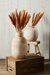 Orange Preserved Pampas Grass