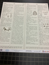 Borders Strips - School Days