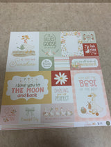Goose Journaling Cards - Silly Goose - Scrapbook Paper - 12 x 12
