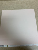 Goose Gander - Silly Goose - Scrapbook Paper - 12 x 12