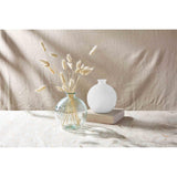Clear Bulb Vase