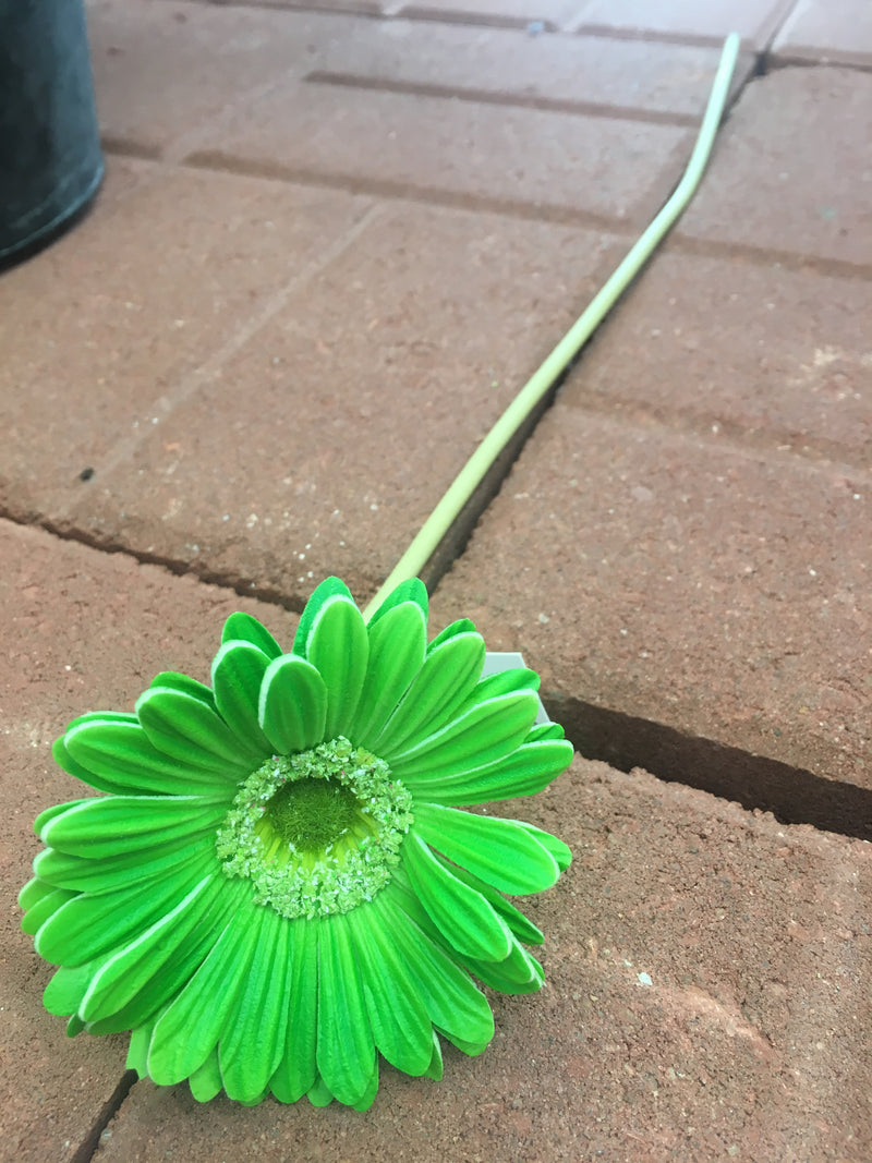 Green Small Real Touch Gerber Daisy