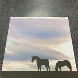 Horses in Silhouette