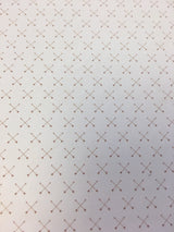 Wild Stripe - The Wild Life - Echo Park Paper