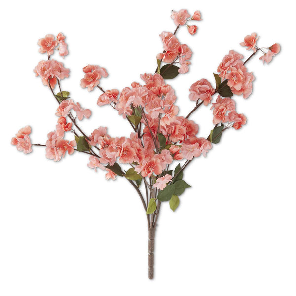 Coral Peach Blossom Bush - 25 inches