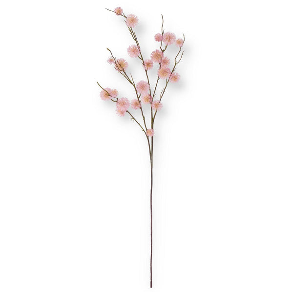 Pink Sycamore Fruit Ball Stem - 34inch