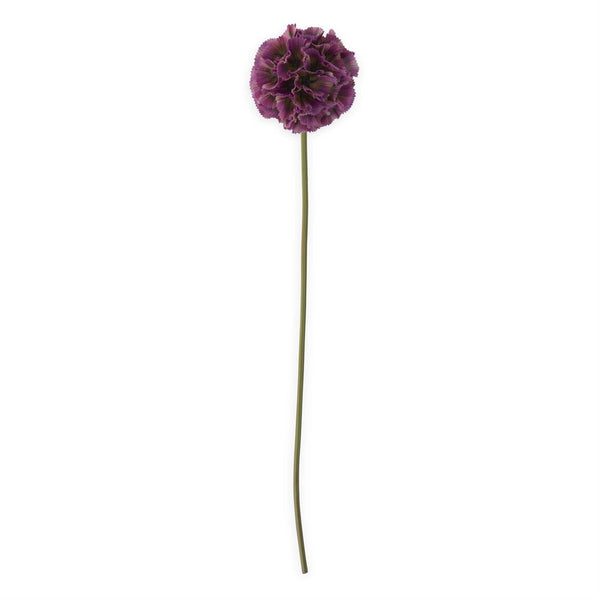 Dark Purple Scabiosa Pod Stem - 22 inch
