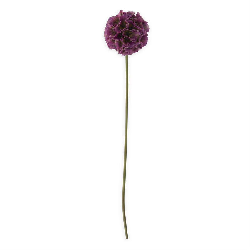 Dark Purple Scabiosa Pod Stem - 22 inch