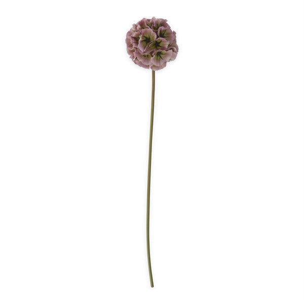 Light Purple Scabiosa Pod Stem - 22 inch