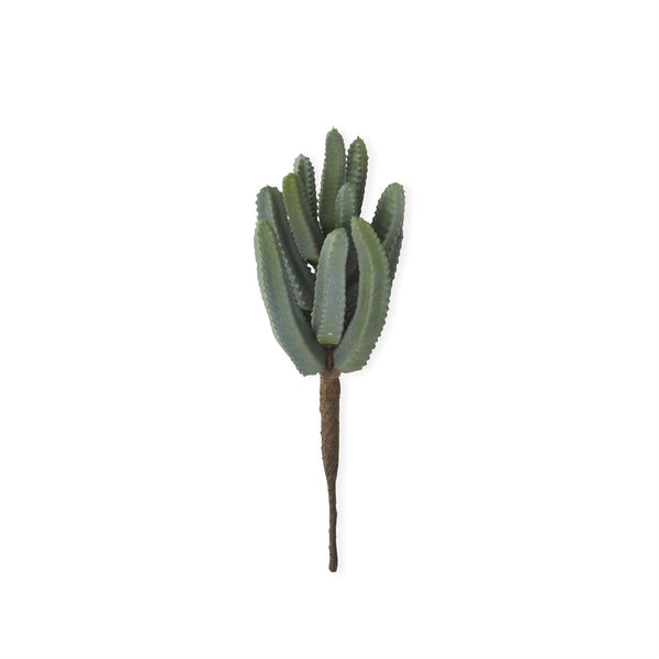 Light Green Euphorbia Cactus Pick - 9inch