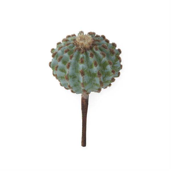 Barrel Cactus Pick - 8.5inch