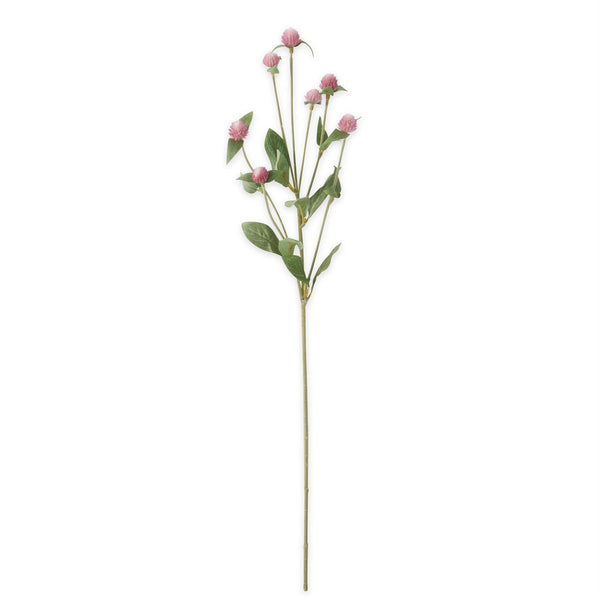 Pink Globe Amaranth Thistle Spray - 28 Inch