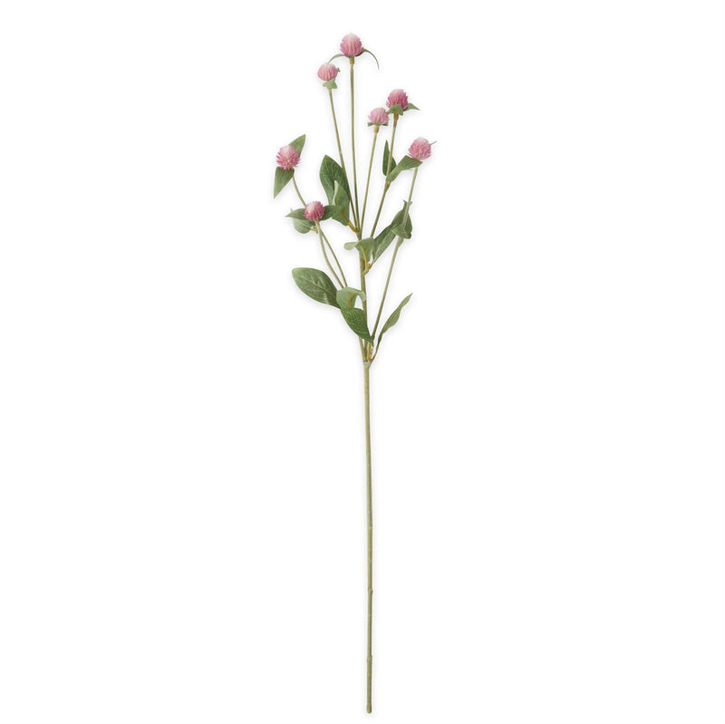 Pink Globe Amaranth Thistle Spray - 28 Inch