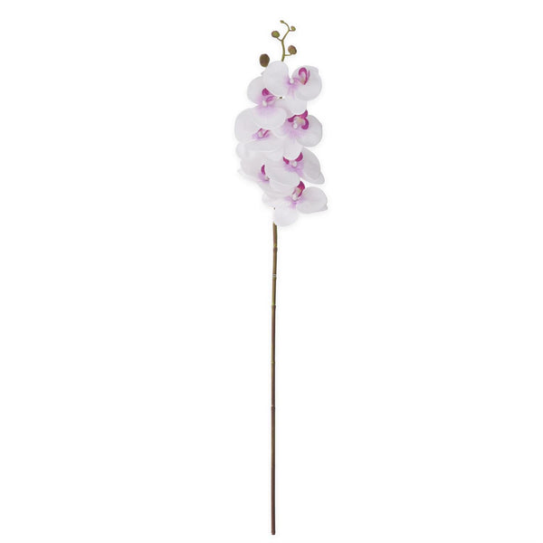 White & Purple Orchid Stem - 34.5 Inch
