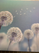 Dandelion Wish - 12 x 12 Paper