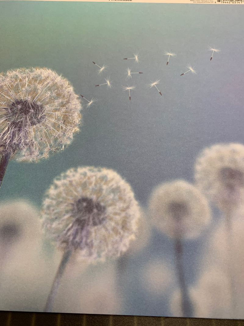 Dandelion Wish - 12 x 12 Paper