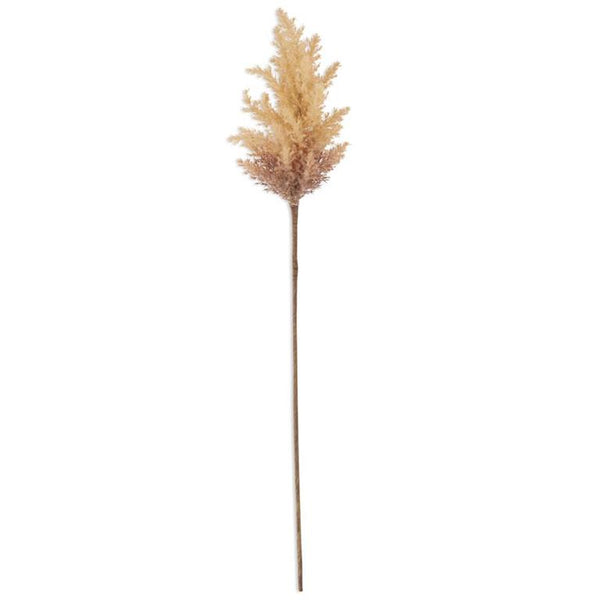 Flocked Light Brown with Pampas Grass Branch - 35inch