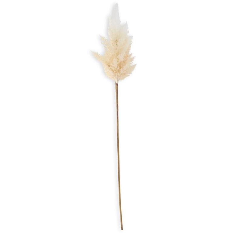 Flocked Cream Pampas Grass Branch - 35inch