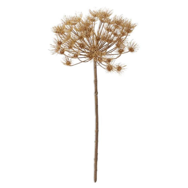 Tan Allium Stem - 21.75 Inch