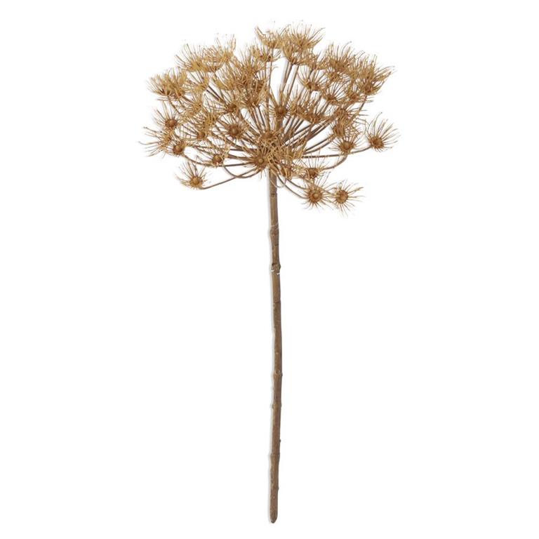 Tan Allium Stem - 21.75 Inch