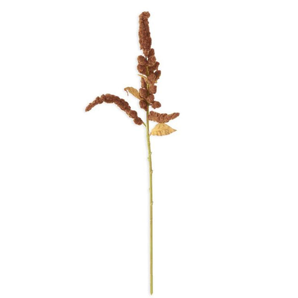 Amaranthus Stem - Brown -  33 inch