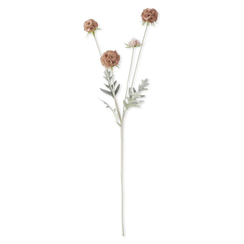 Pink Scabiosa Pod Spray - 23.5 Inch