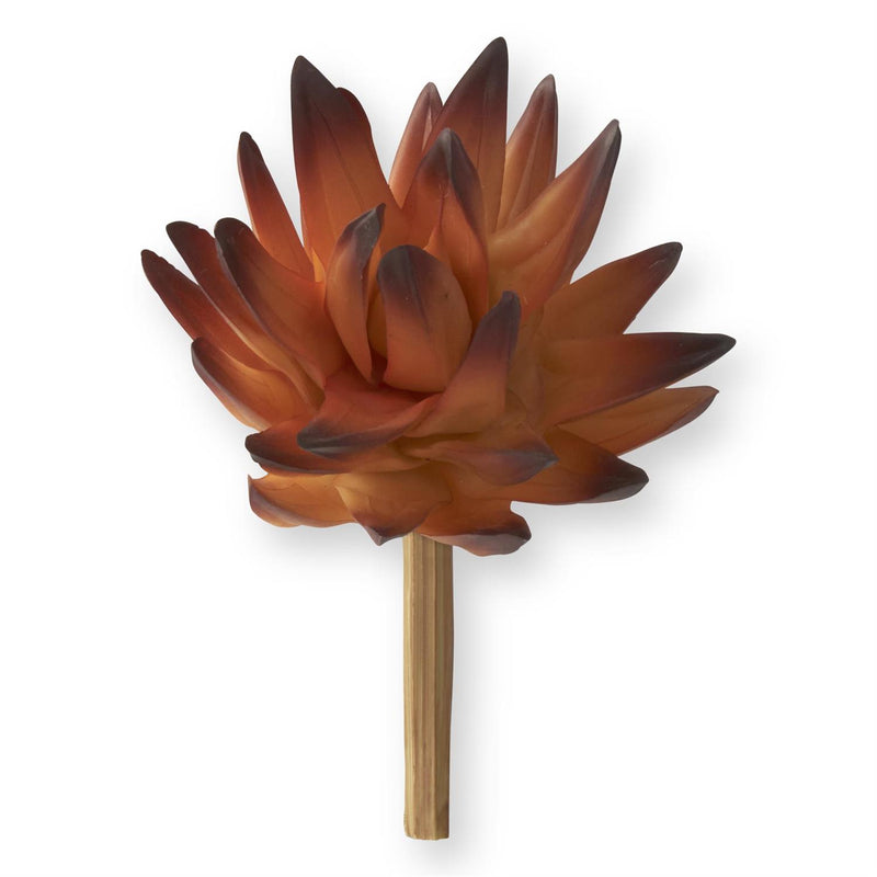 Orange Succulent Pick - 8 Inch