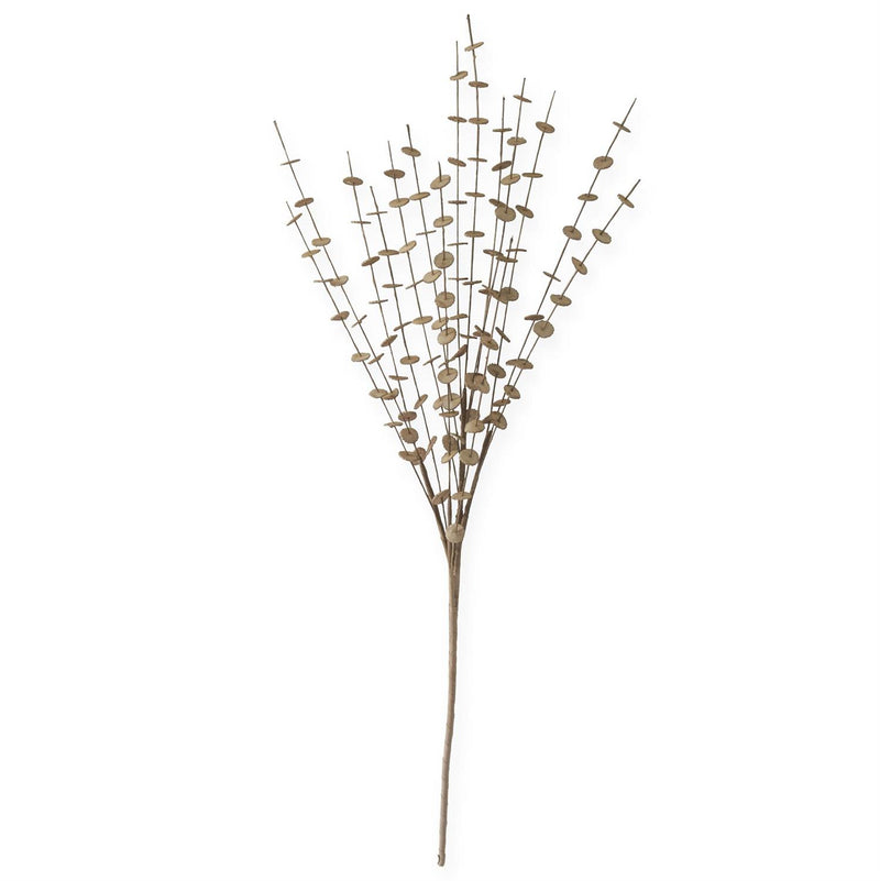 Brown Eva Button Spray - 36 Inch Spray