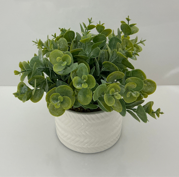 Eucalyptus in Ribbon White Ceramic Vases