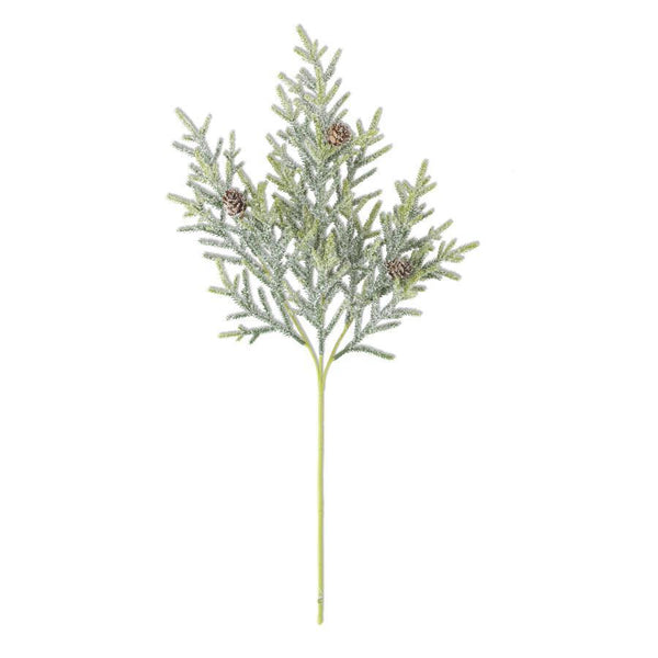 Snowy Juniper Stem with Mini Pinecones