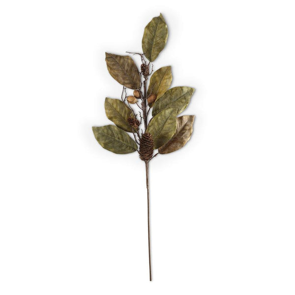 Magnolia Leaves with Pinecones and Nuts Stem