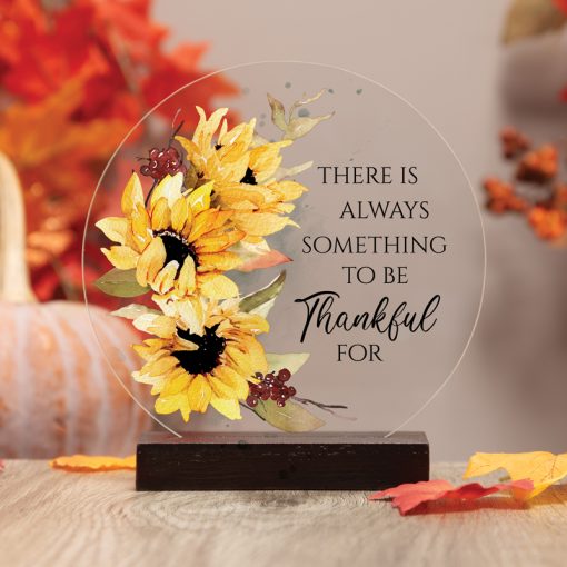 Thankful - Sitter