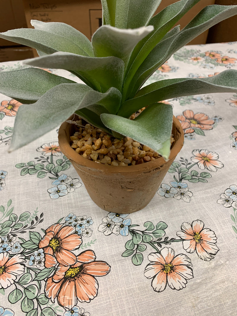 Succulent Textured Weathered Clay Pots