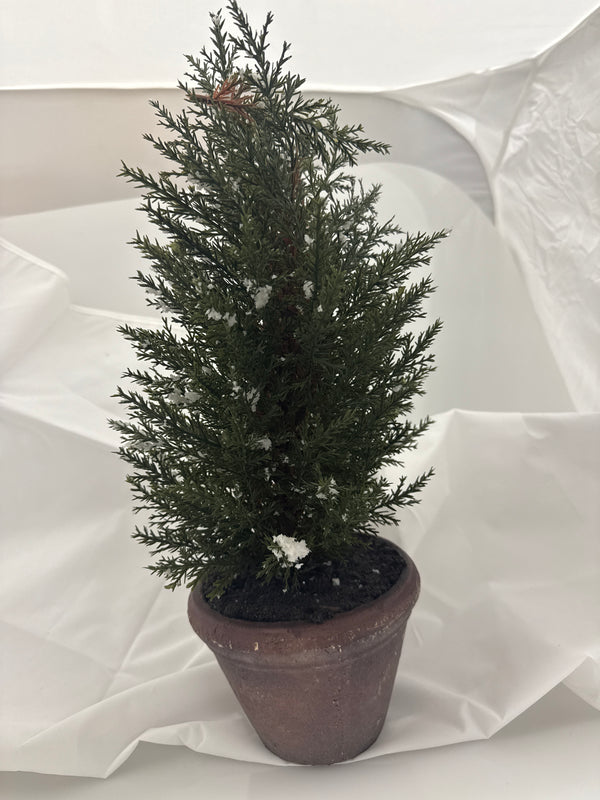 Frosted Tree in Clay Pot