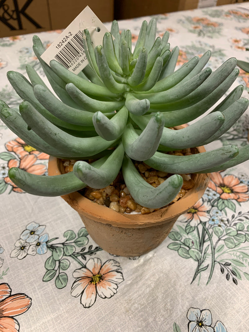 Succulent Textured Weathered Clay Pots
