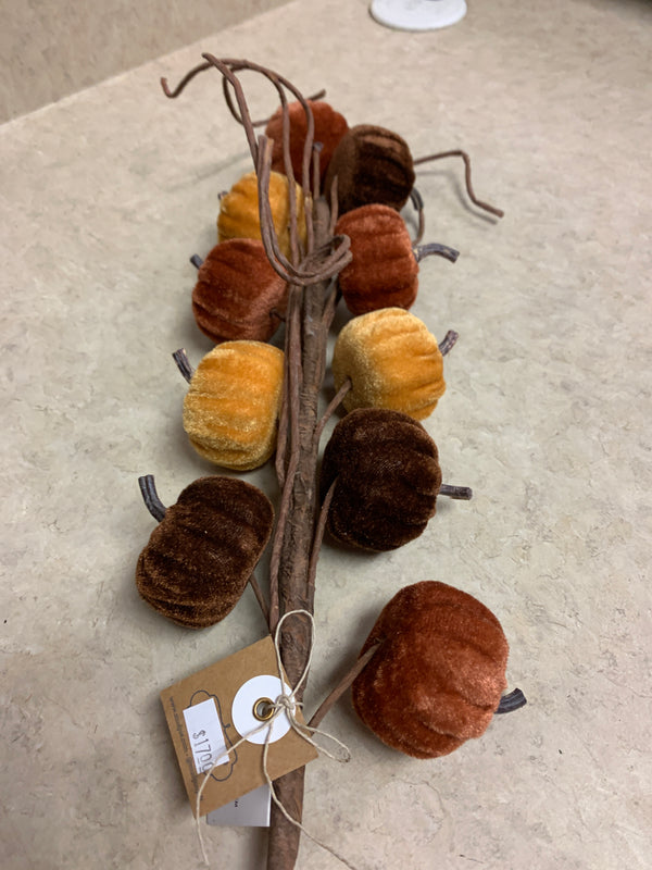 Velvet Pumpkin Stem