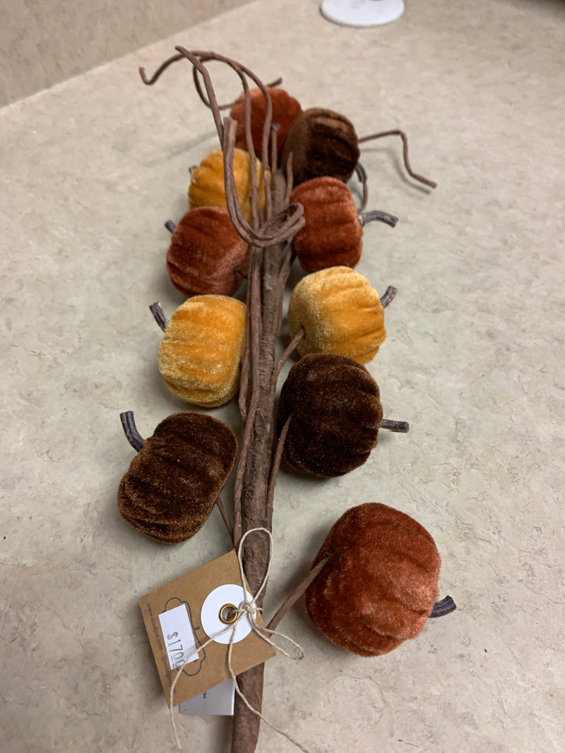 Velvet Pumpkin Stem