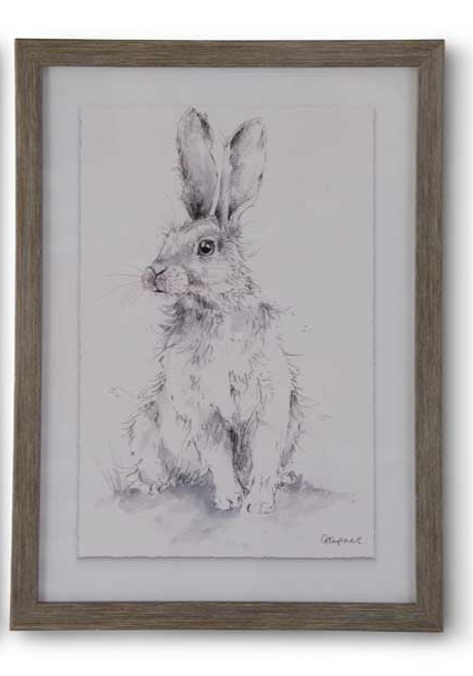 Black & Gray Framed Rabbit Print