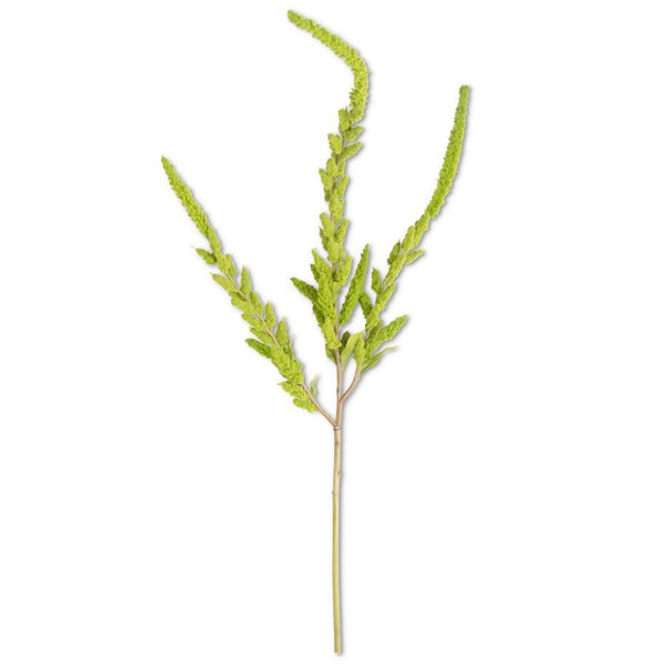 Green Amaranthus Stem - 37 Inch