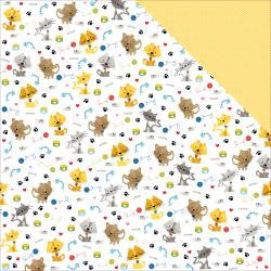 Riley - Friendly Felines