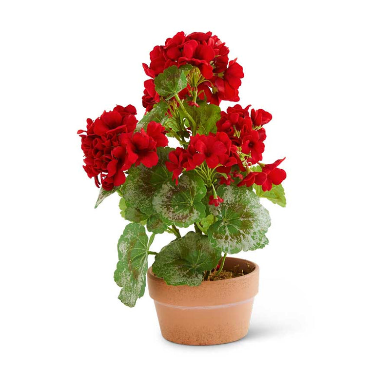 Red Geranium Terracotta Pot - 13 Inch