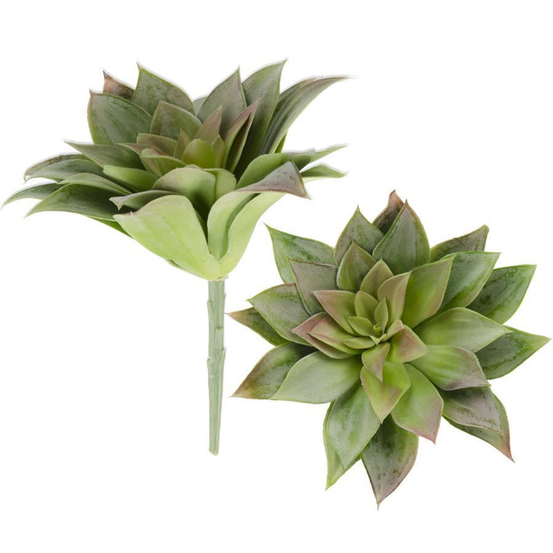 Green Sempervivum Stem - 9 Inch