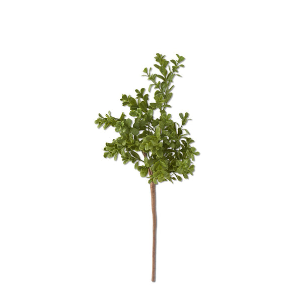 Real Touch Boxwood Pick - 18inch