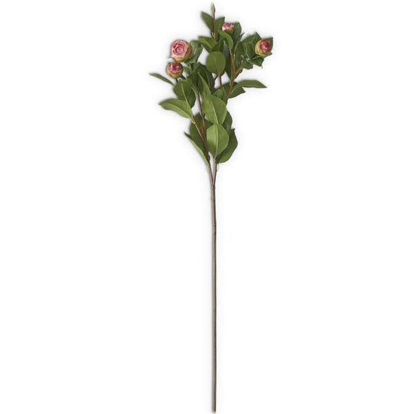 Pink 5 Bud Peony  Stem