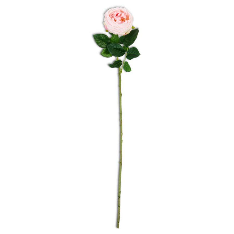 Pink Real Touch Austin Rose Stem - 24 Inch