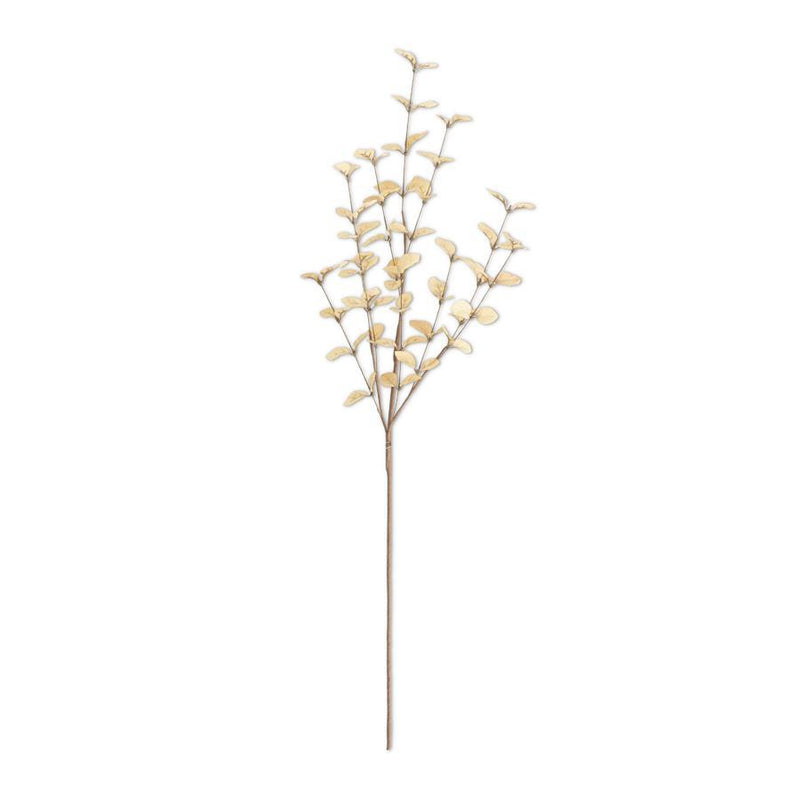 Beige Eucalyptus Stem - 34 Inch