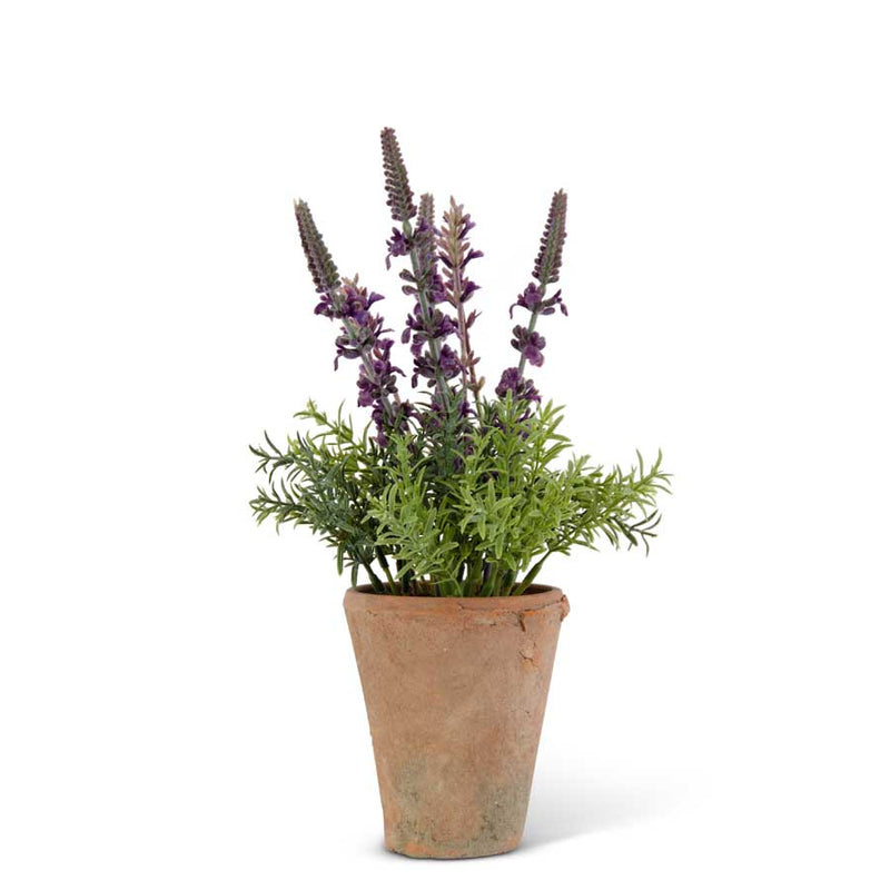 Purple Lavender in Distressed Clay Pot
