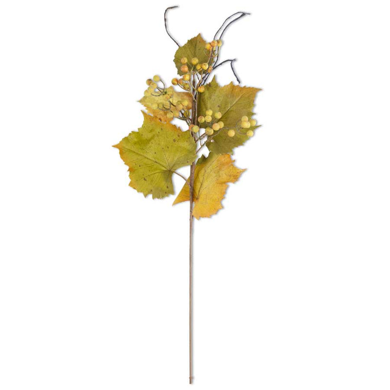 Green & Yellow Trim Grape Leaves Stem with Twig & Berries
