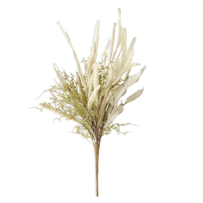 Green Asparagus Foliage w/Berry Spikes & Eva Bush - 24 Inch