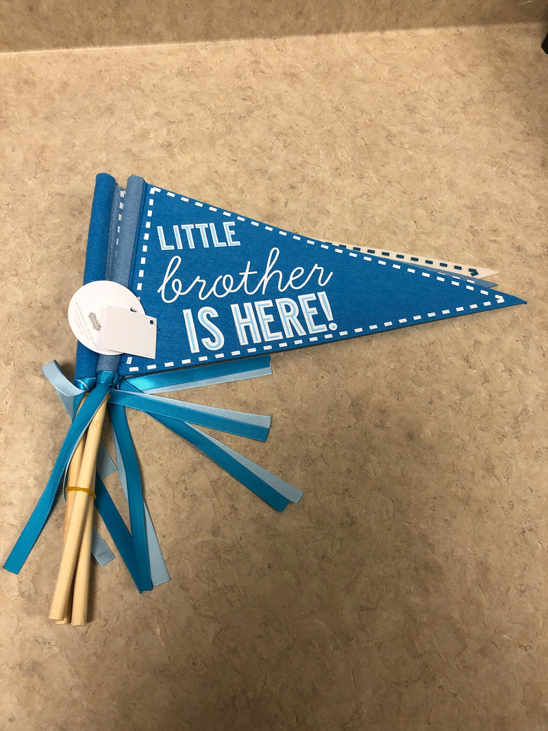 Little Brother Pennant Set